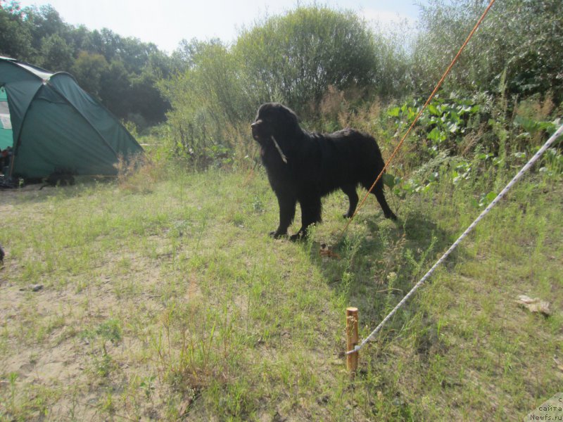 Фотография № 212183