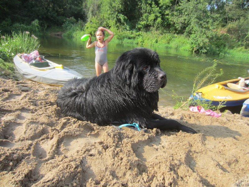 Фотография № 212188