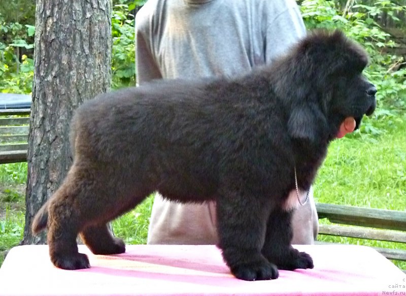 Фотография № 212223