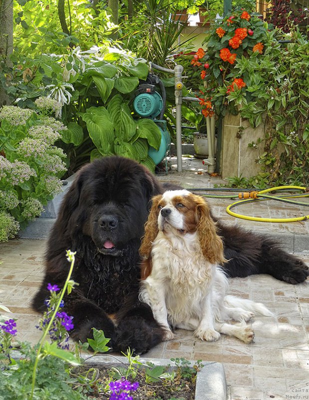 Фотография № 212277