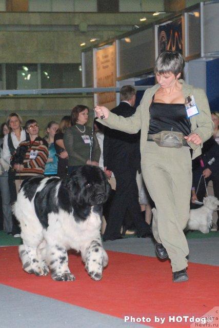 Фотография № 21228