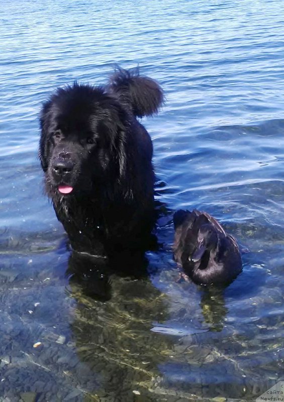 Фотография № 212281