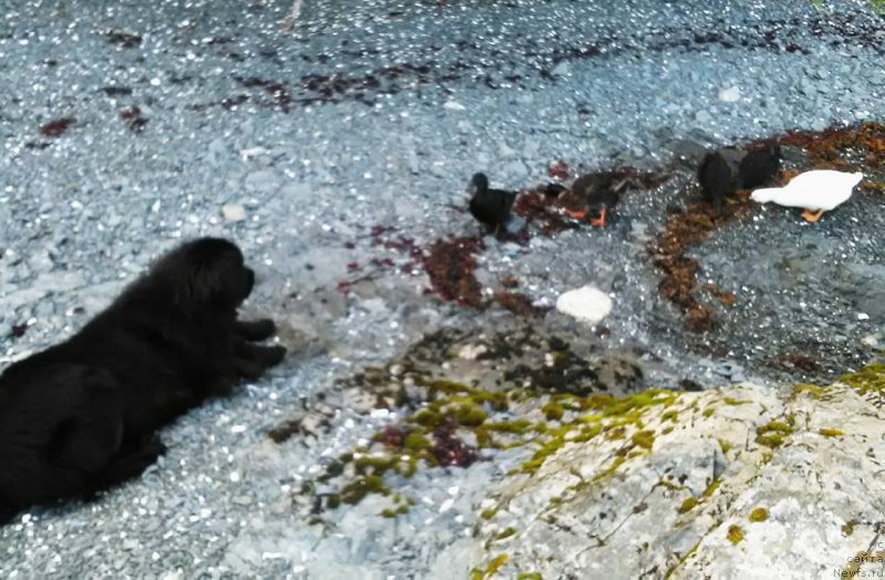 Фотография № 212282