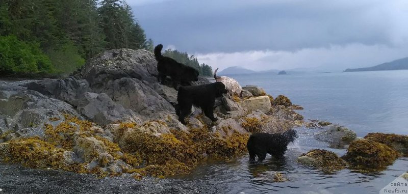 Фотография № 212284