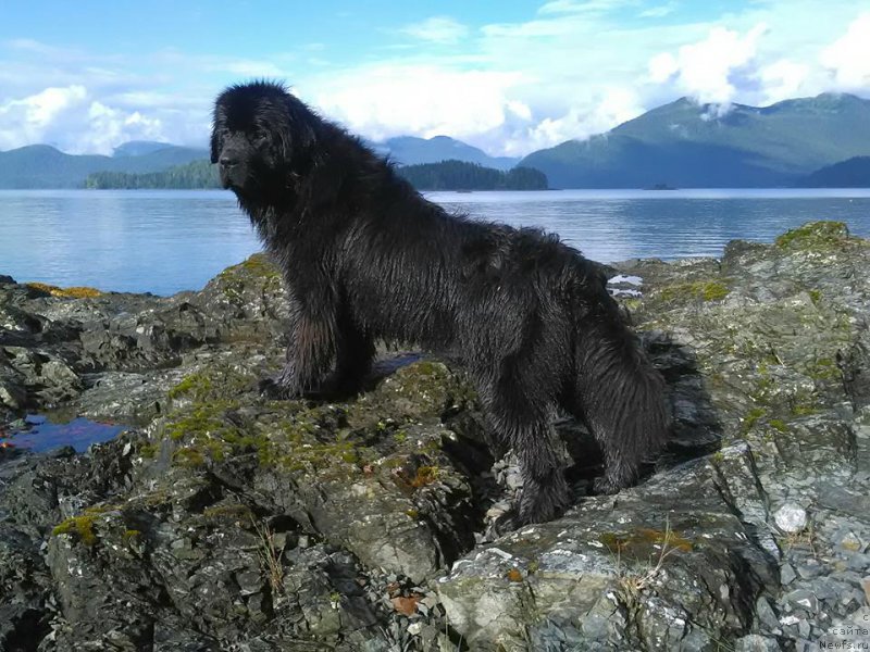 Фотография № 212286