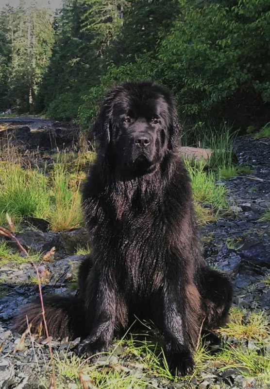 Фотография № 212287