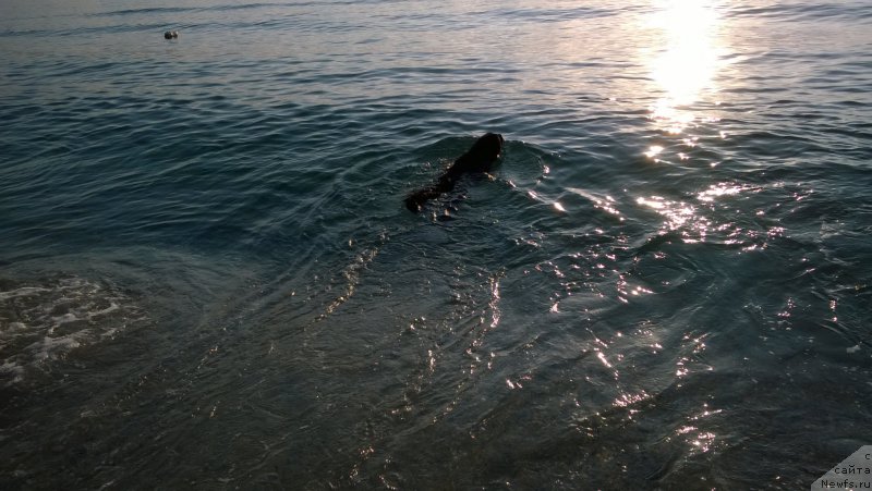 Фотография № 212301