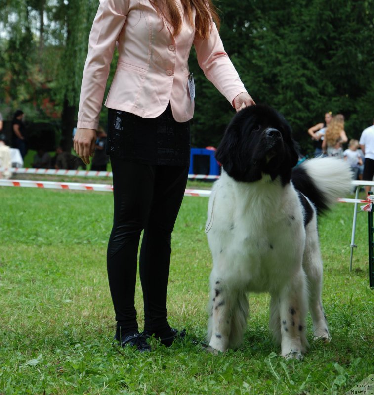 Фотография № 212305