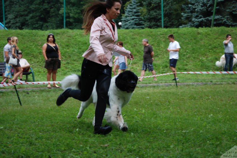 Фотография № 212307