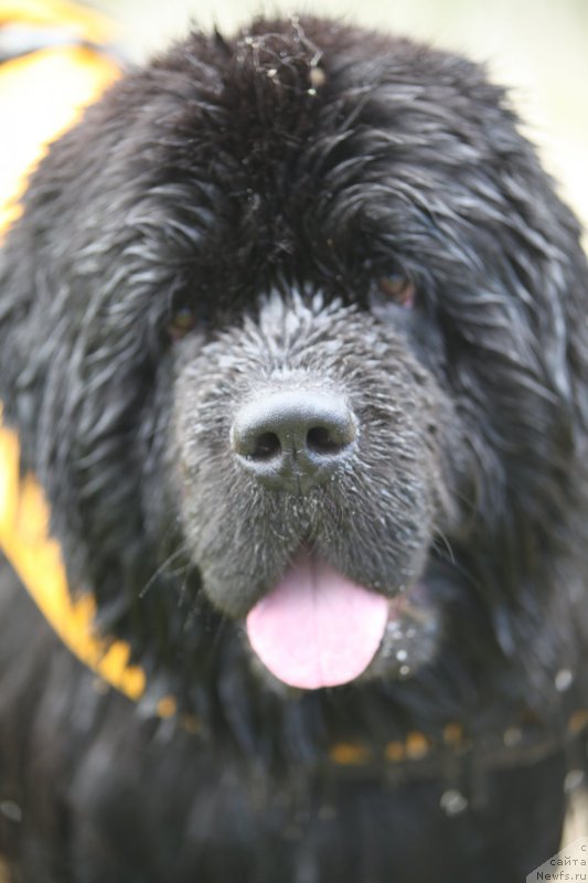 Фотография № 212315