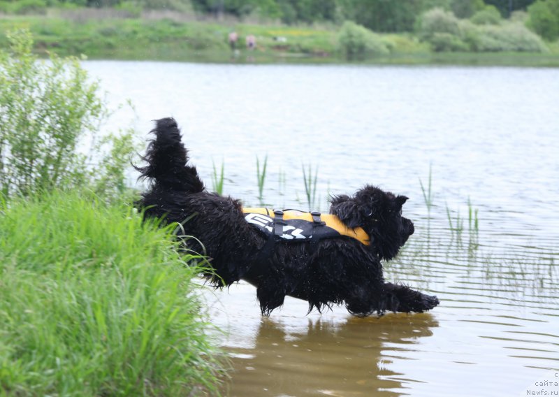 Фотография № 212317