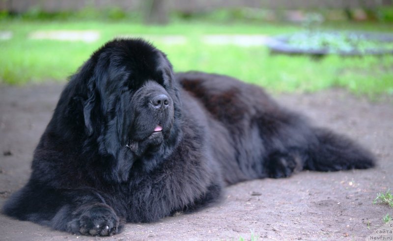 Фотография № 212327