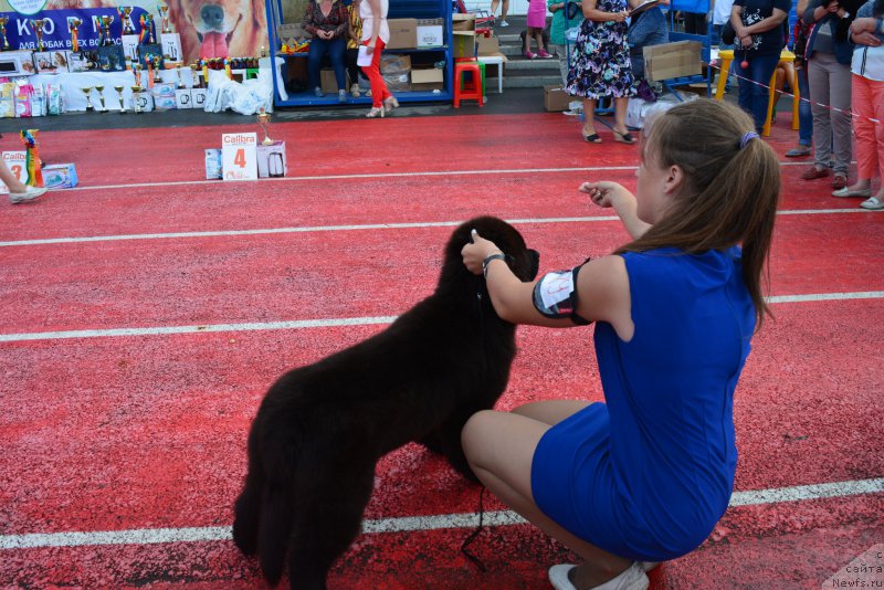 Фотография № 212340