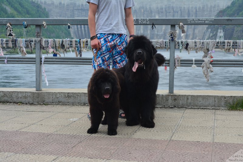 Фотография № 212342