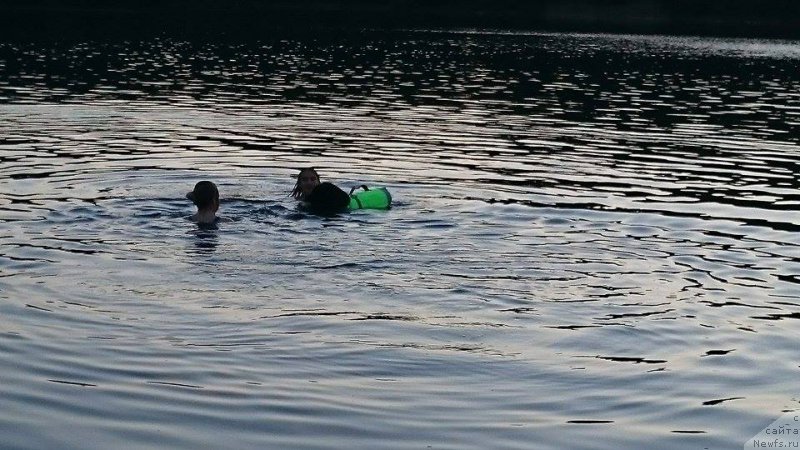 Фотография № 212345