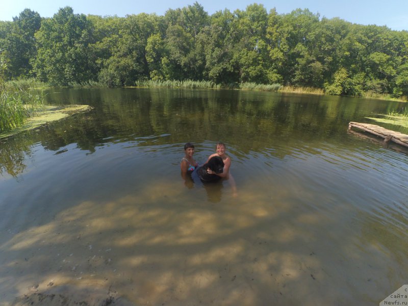 Фотография № 212369