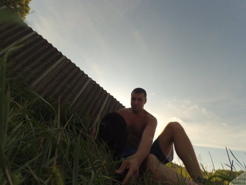 Фото: ньюфаундленд Белкондер-Клаб Ямайка Блю Маунтин (Belkonder-Club Jamaica Blue Mountin)