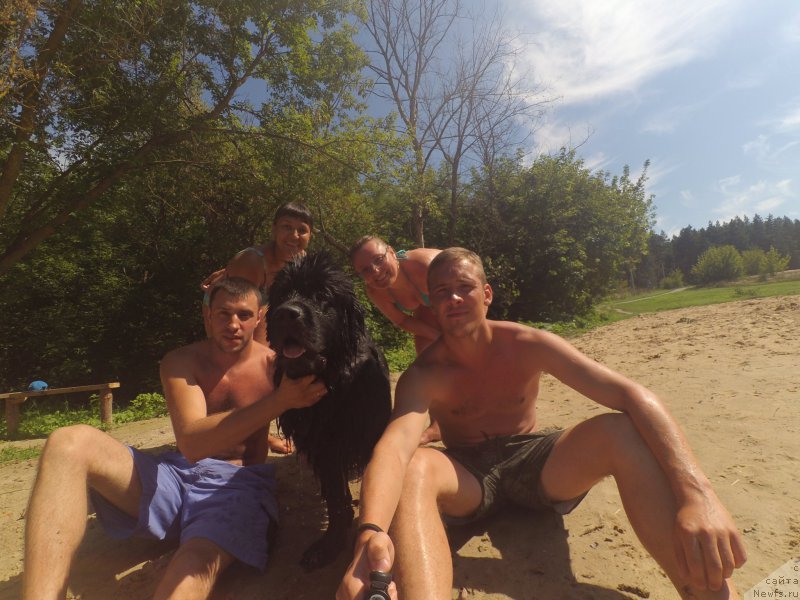 Фотография № 212377