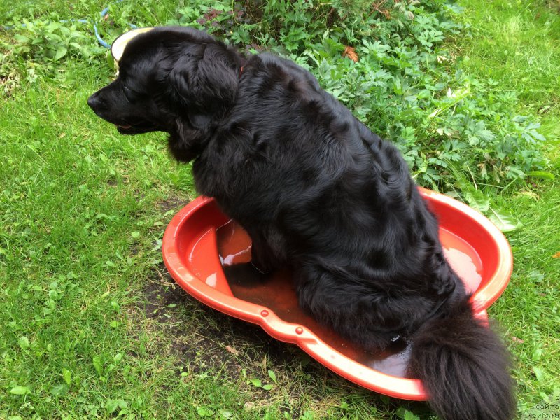 Фотография № 212379