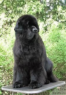 Фотография № 212384