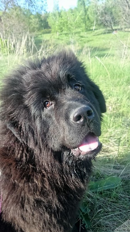 Фотография № 212388