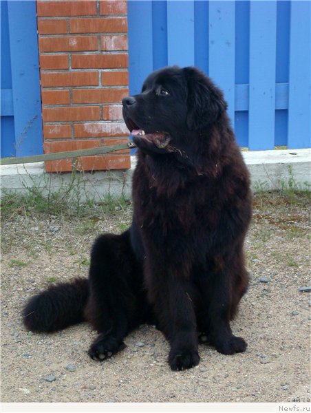 Фотография № 212389