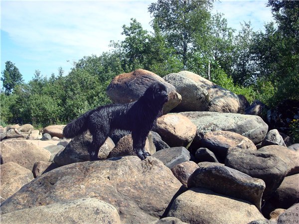 Фотография № 212394