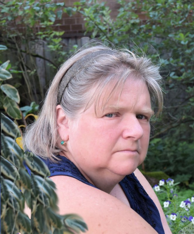 Фотография № 212397