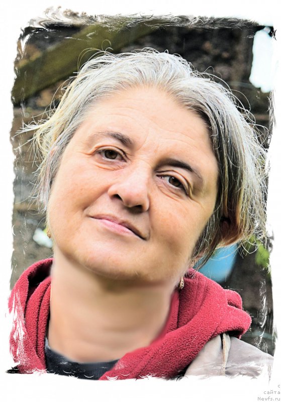 Фотография № 212400