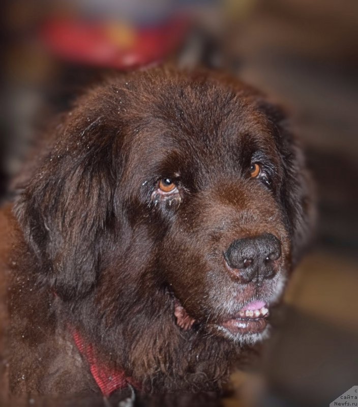 Фотография № 212437