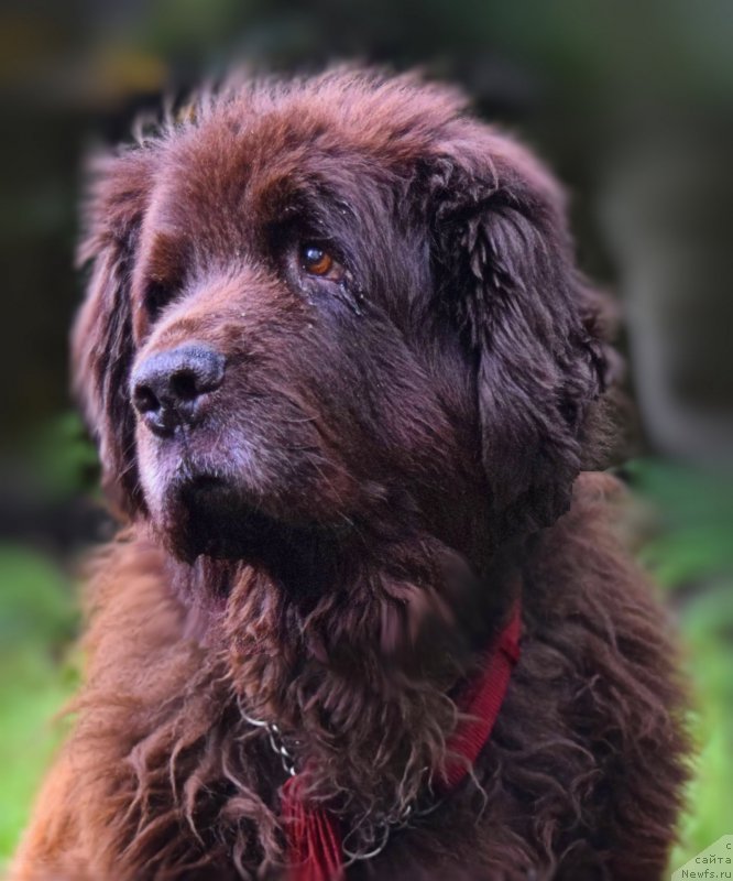 Фотография № 212443