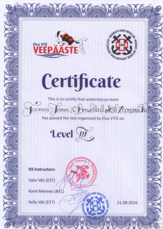 Фото: ньюфаундленд Браунблад МСК Жансая Шули (Brownblood MSK Zhansaya Shuli)