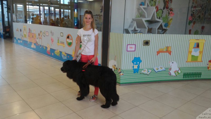 Фотография № 212472