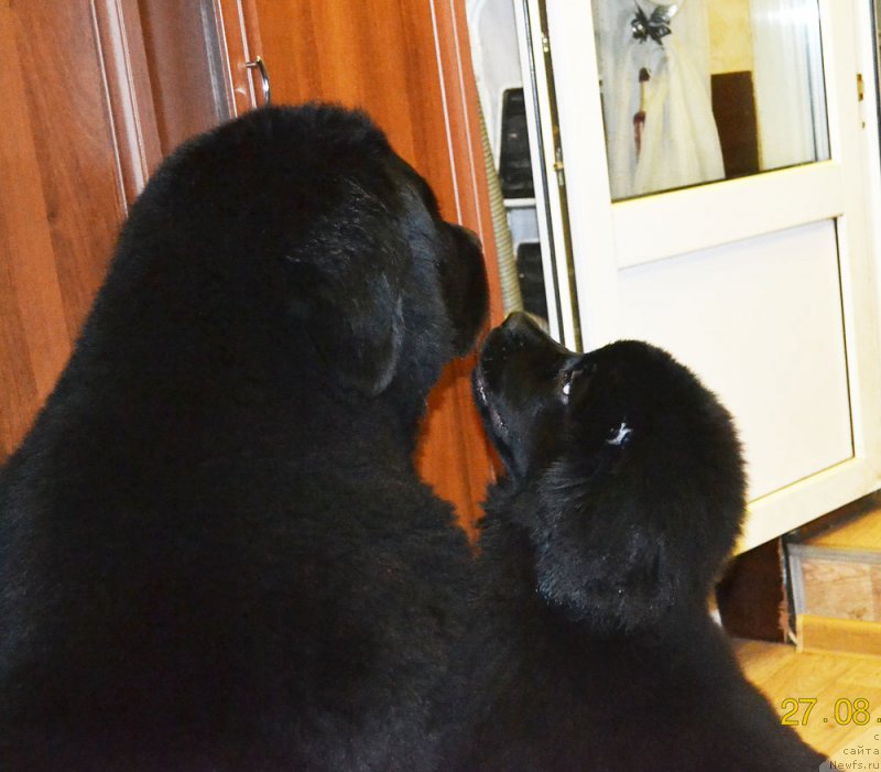 Фотография № 212482