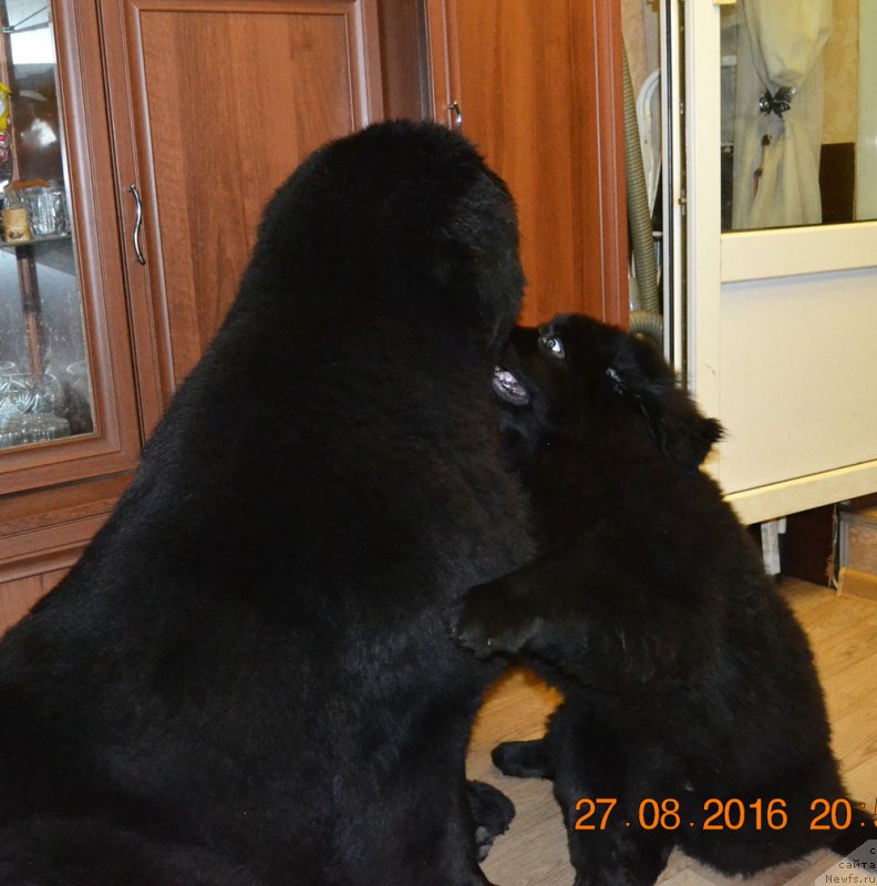 Фотография № 212485