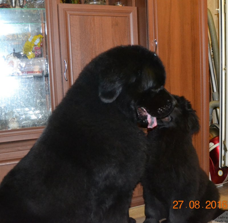 Фотография № 212487