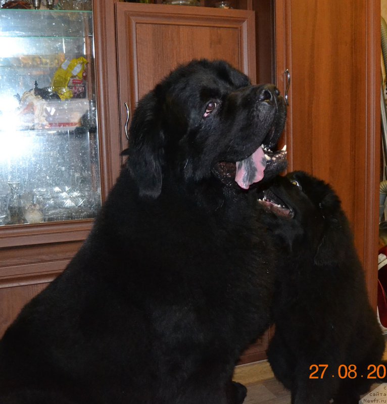 Фотография № 212488