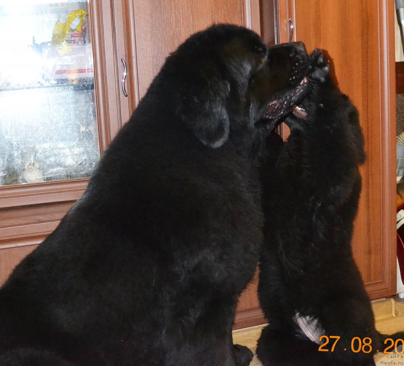 Фотография № 212489