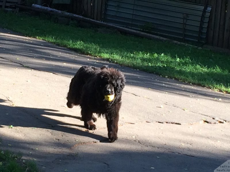 Фотография № 212490