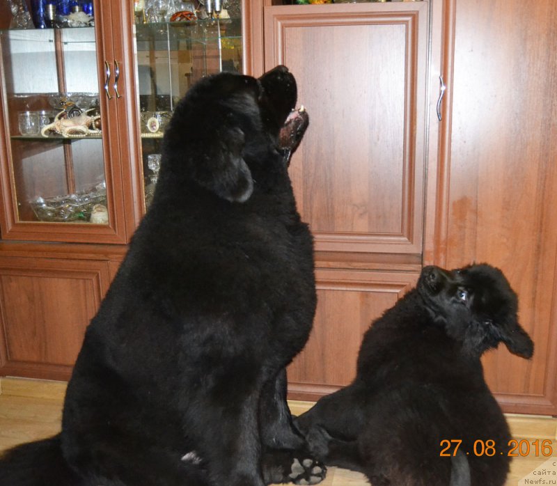 Фотография № 212491