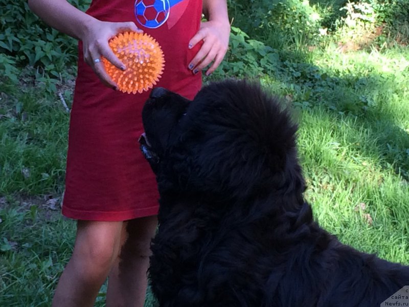 Фотография № 212492