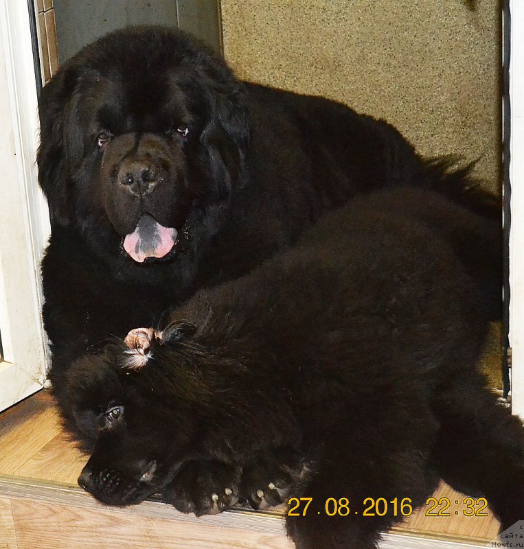 Фотография № 212493