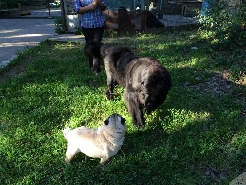 Фотография № 212494