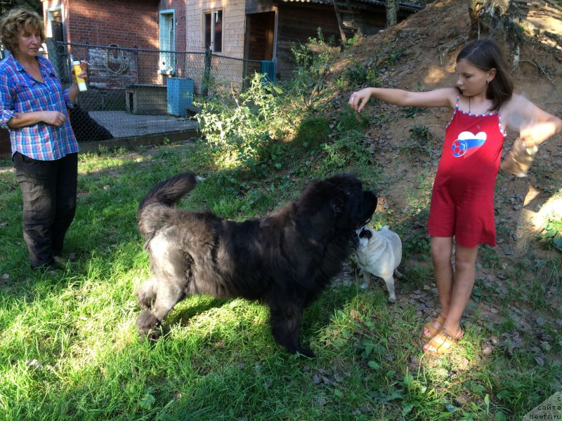 Фотография № 212495