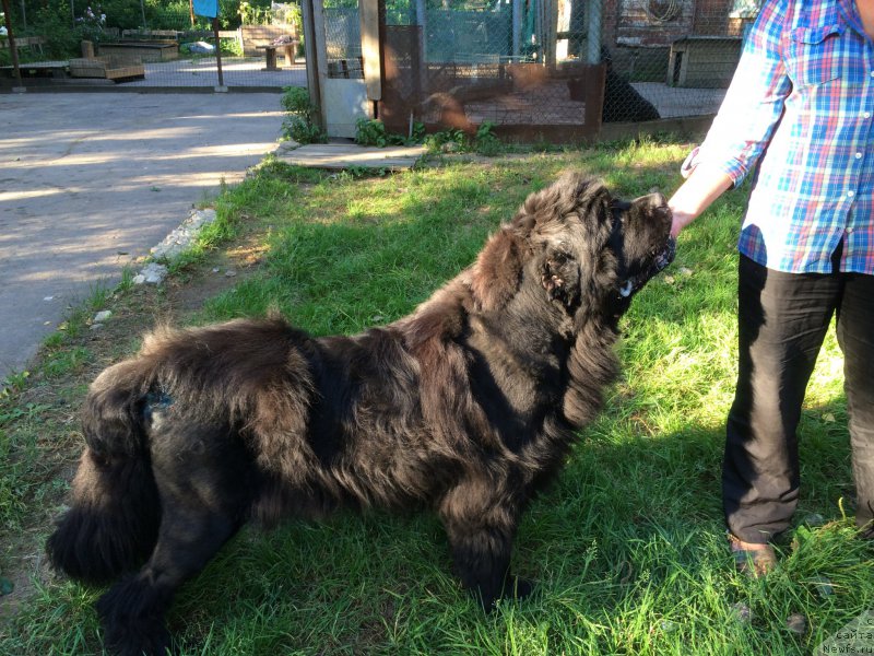 Фотография № 212496