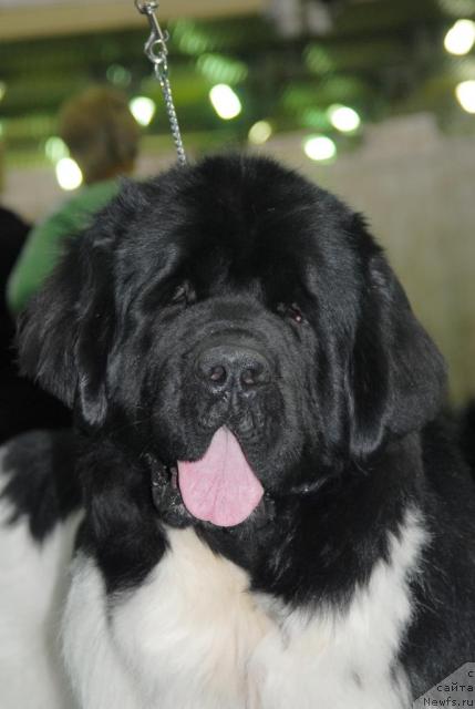 Фотография № 21250