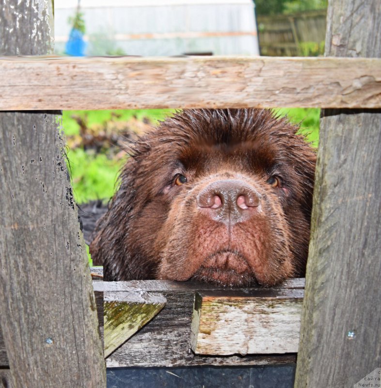 Фотография № 212505