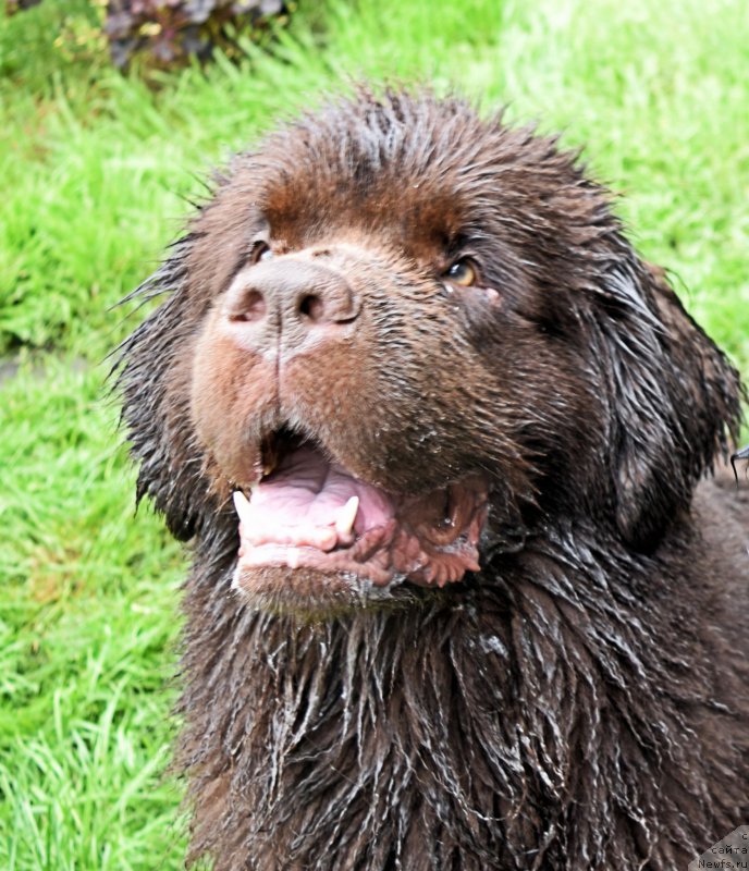 Фотография № 212506