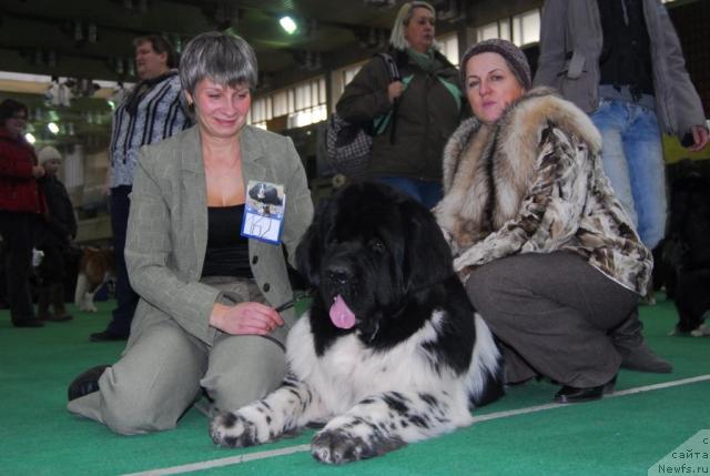 Фото: ньюфаундленд Супер Бизон Айсберг (Super Bizon Aisberg), Инна Зимина, Нина Базулина