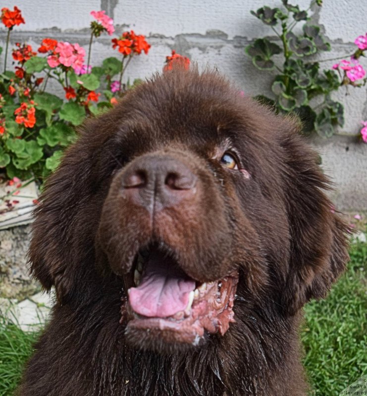 Фотография № 212518